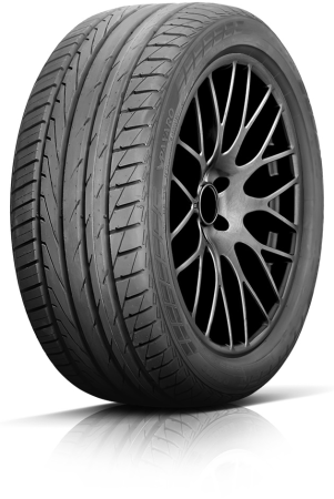 PAXARO RAPIDO 205/55R16 91V